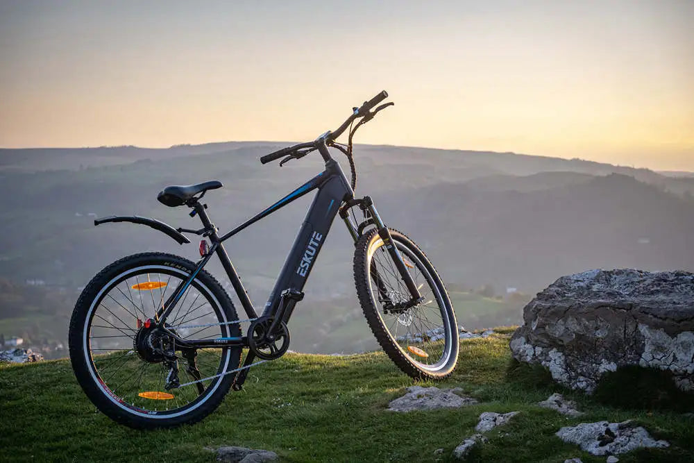Electric Bike Shed Storage: How to Store an Electric Bike
