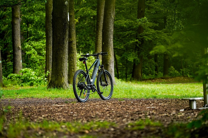 electric bike spring check