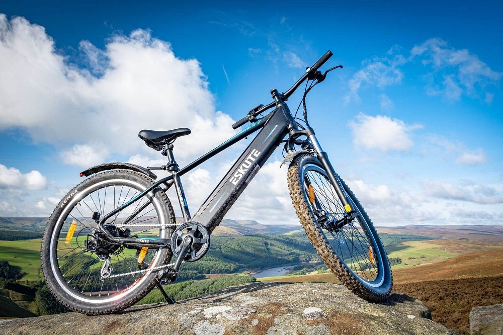 electric bicycle insurance