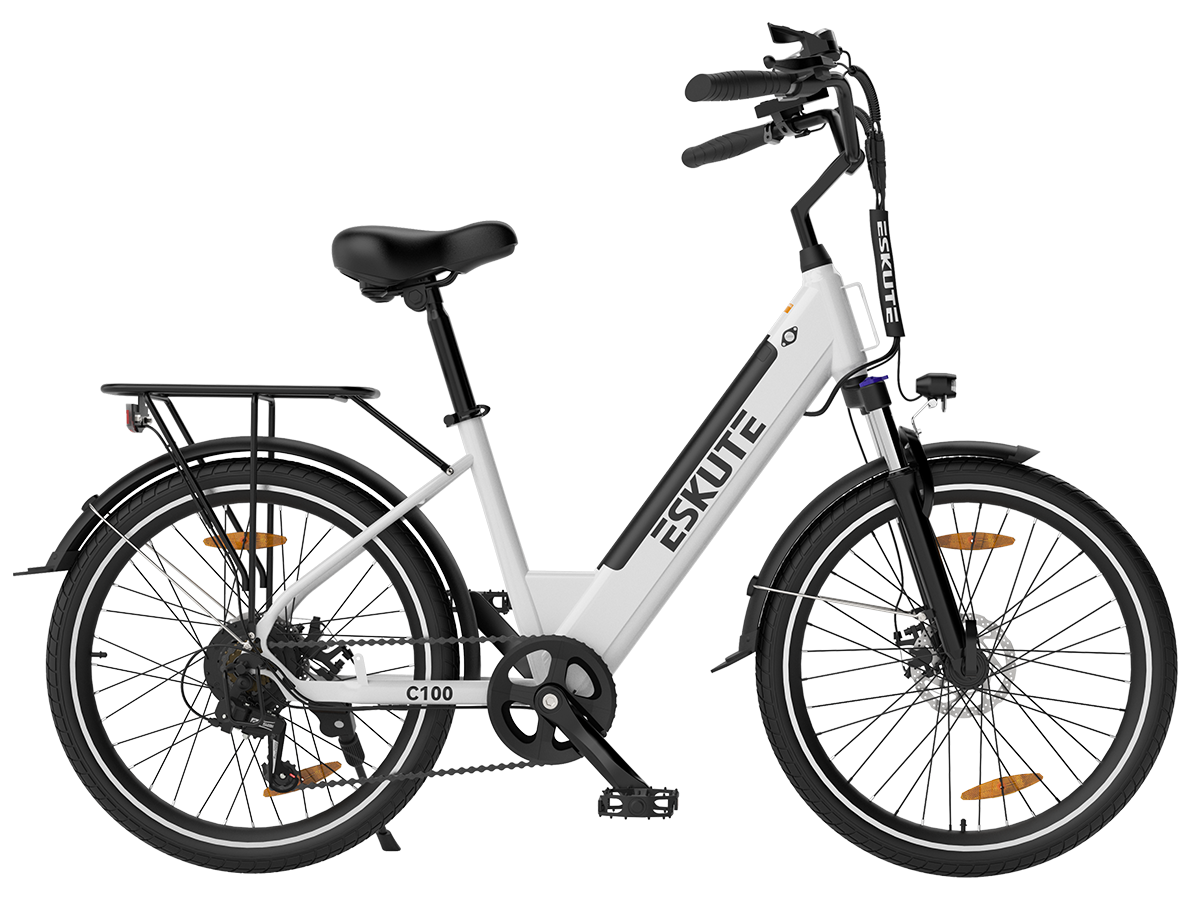 Polluno Pro Commuter Electric Bike