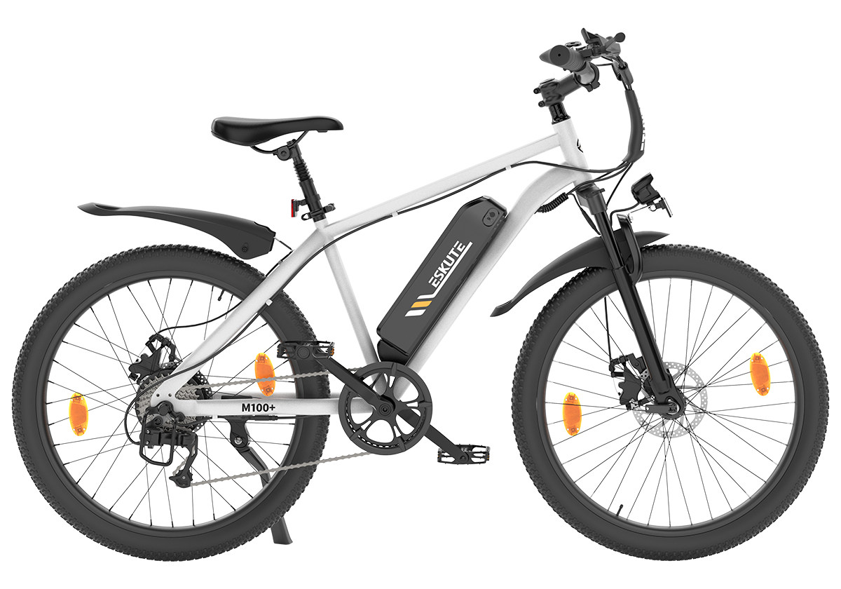 M100+ 2025 Electric Mountain Bike