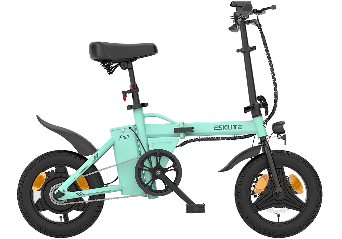 F100 Mini Folding Electric Bike