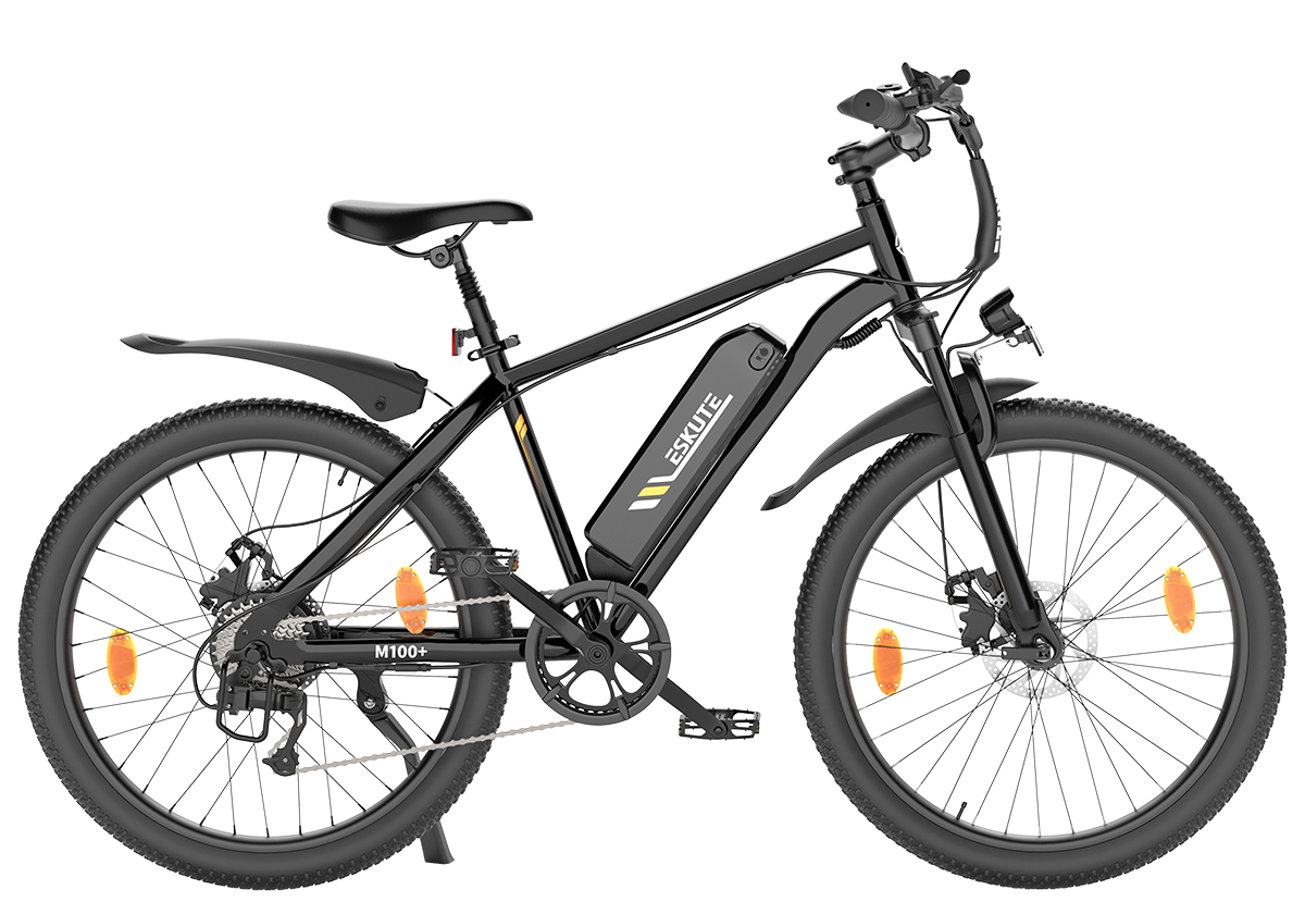 M100+ 2025 Electric Mountain Bike