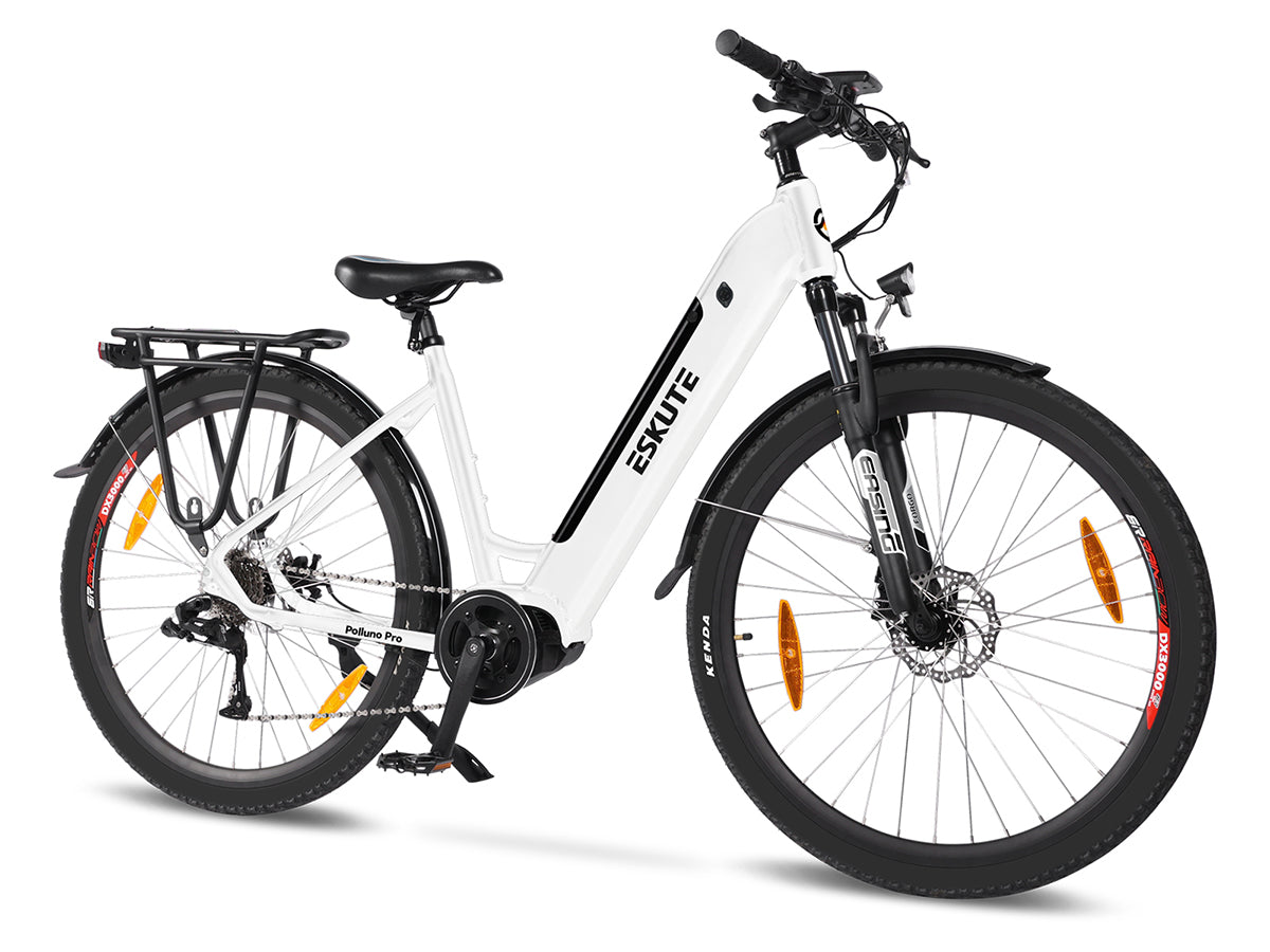 Polluno Pro Commuter Electric Bike