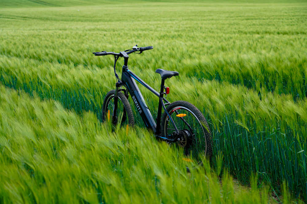 ESKUTE electric bike in the wheat fields