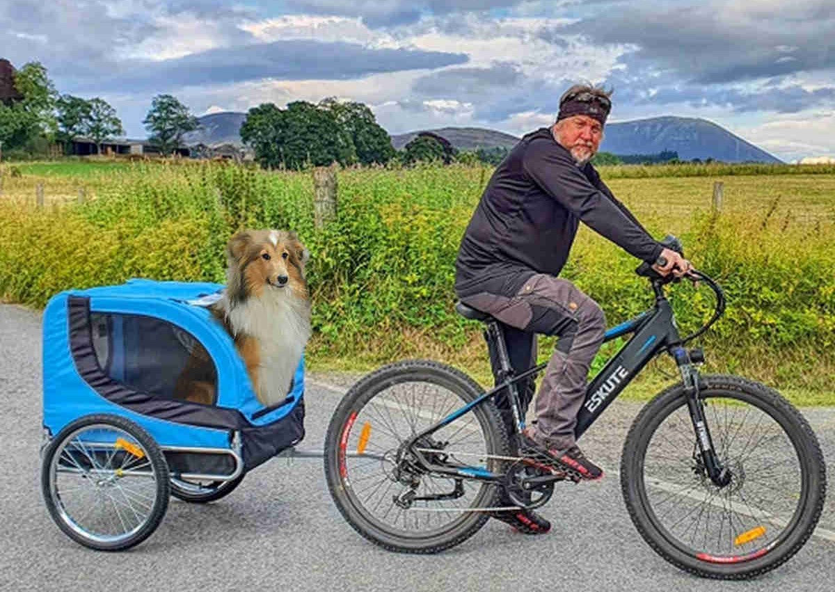 a man rides ebike with his dog in the trailer
