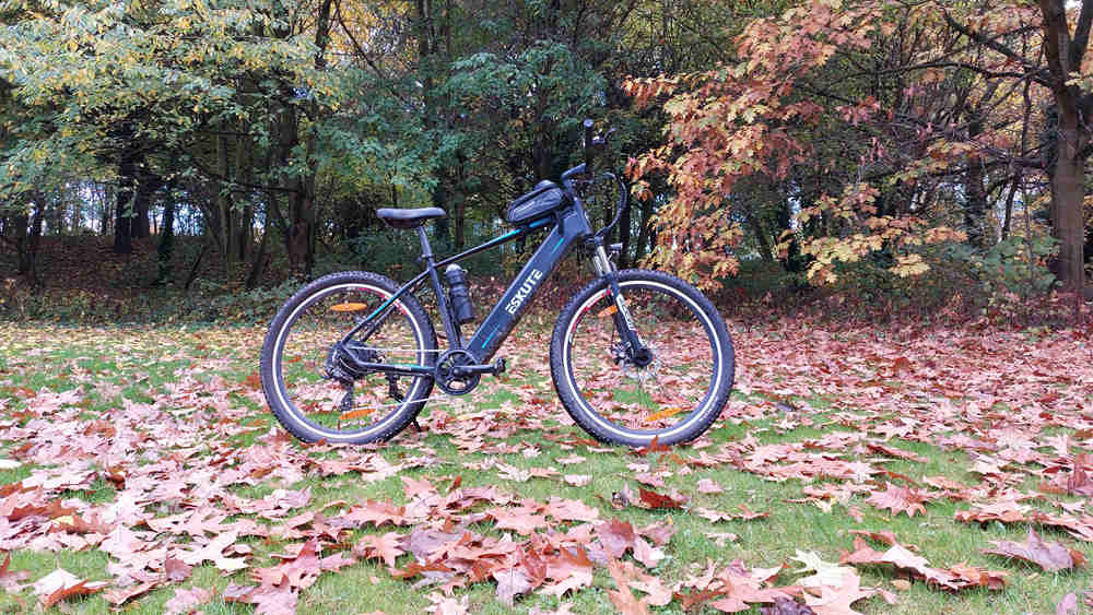 electric bike on the grasslands covered by  fallen maple leaves