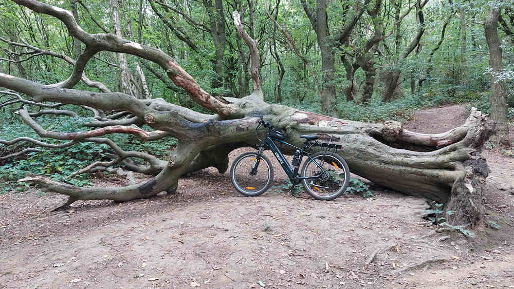 electric bike stands before the stump falls on the ground