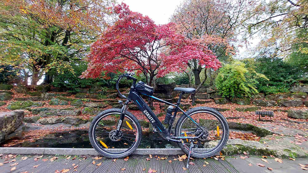 electric mountain bike under red maple tree