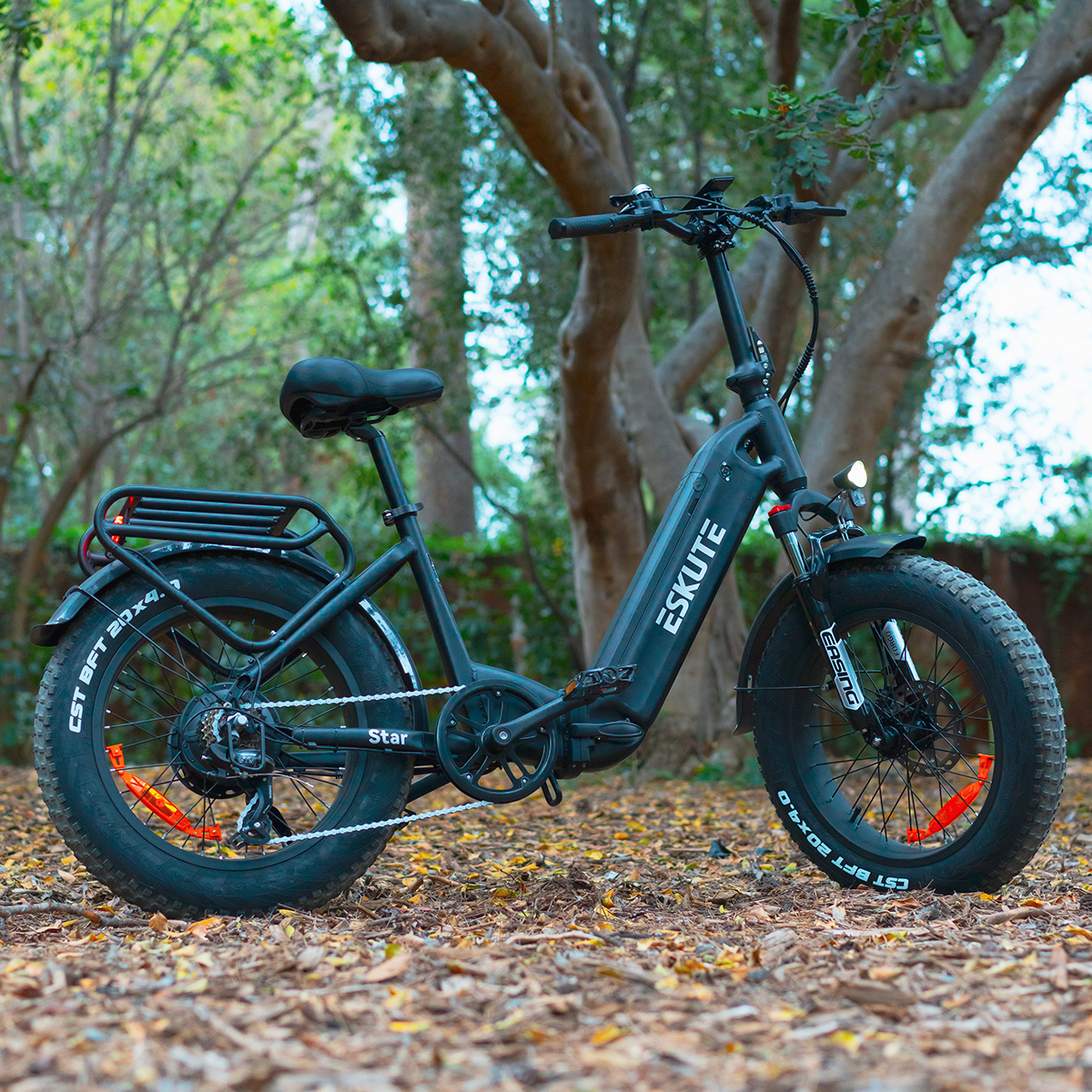 Star Fat Tires EBike Foldable