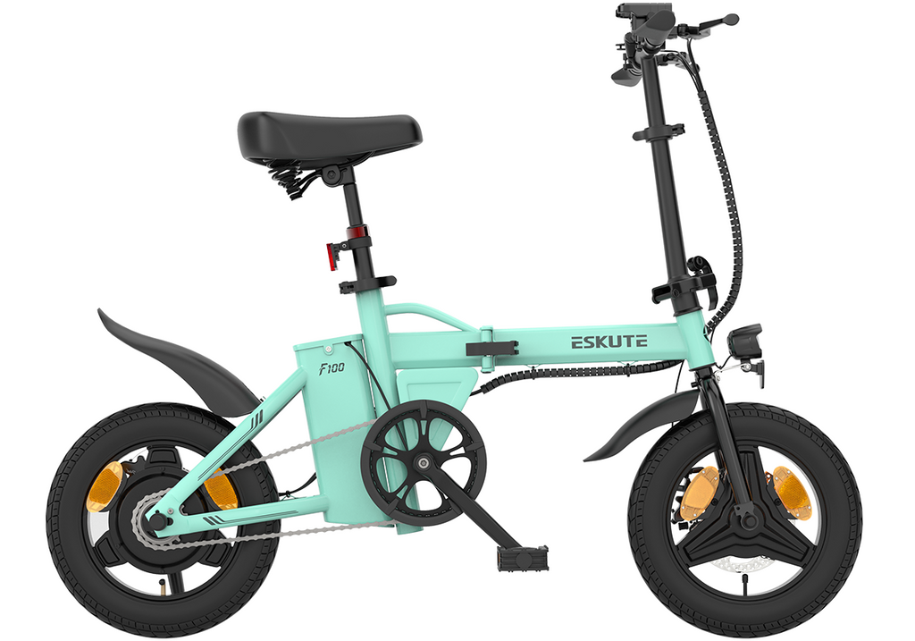F100 Mini Folding Electric Bike