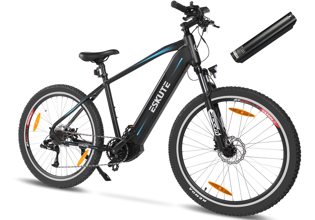 Netuno Pro Electric Mountain Bike (With Extra Spare Battery)