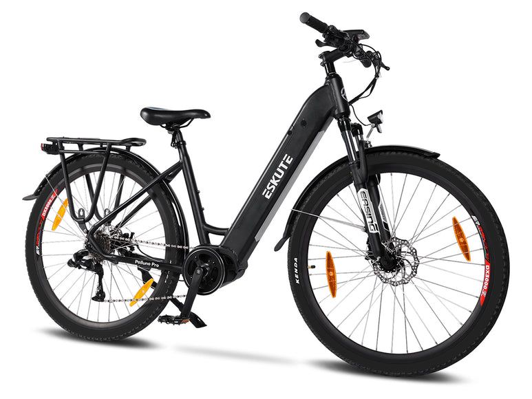 Polluno Pro Commuter Electric Bike