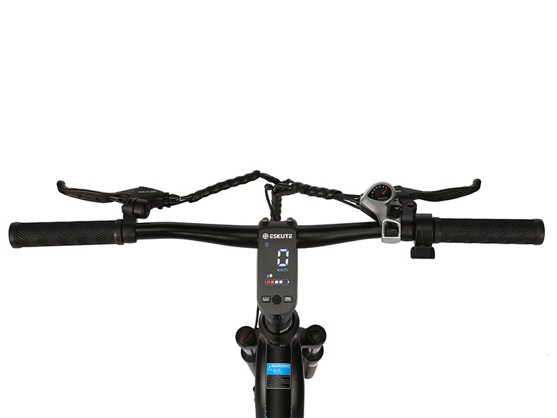 Polluno and Netuno e-bikes with throttle