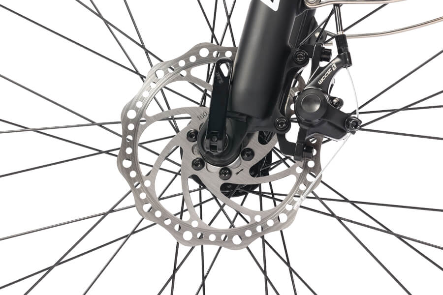 ESKUTE Netuno Pro Electric Mountain Bike Disc Brakes 